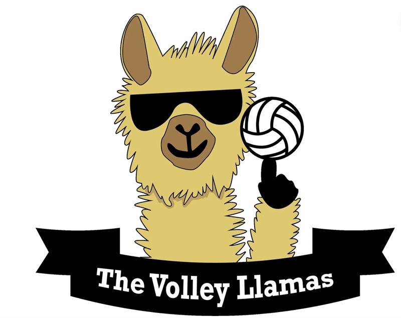 Volley Llama