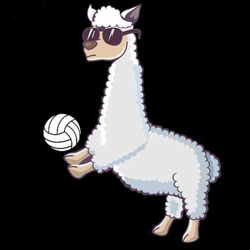 Volley Llama