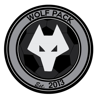 wolfpack logo south korea
